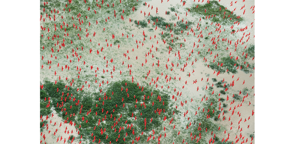 Catherine Edelman Daniel Beltra