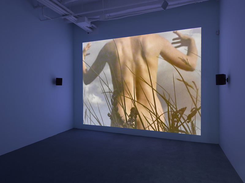 Laure Prouvost, Lisson Gallery, New York