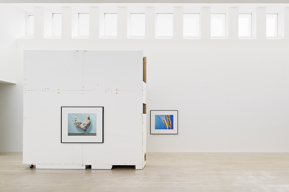 Christopher Williams,