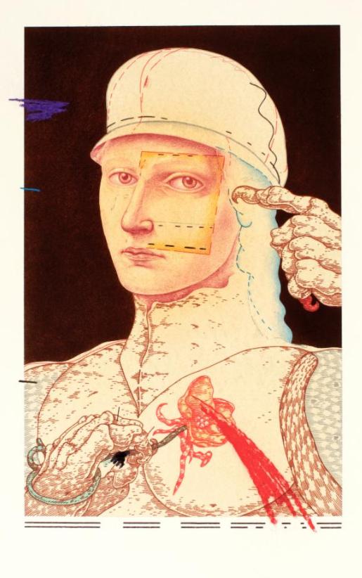 Lebbeus Woods，Vernacular Environments