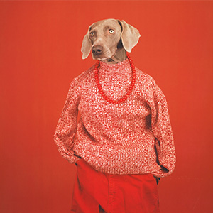 William Wegman Casual 2002 